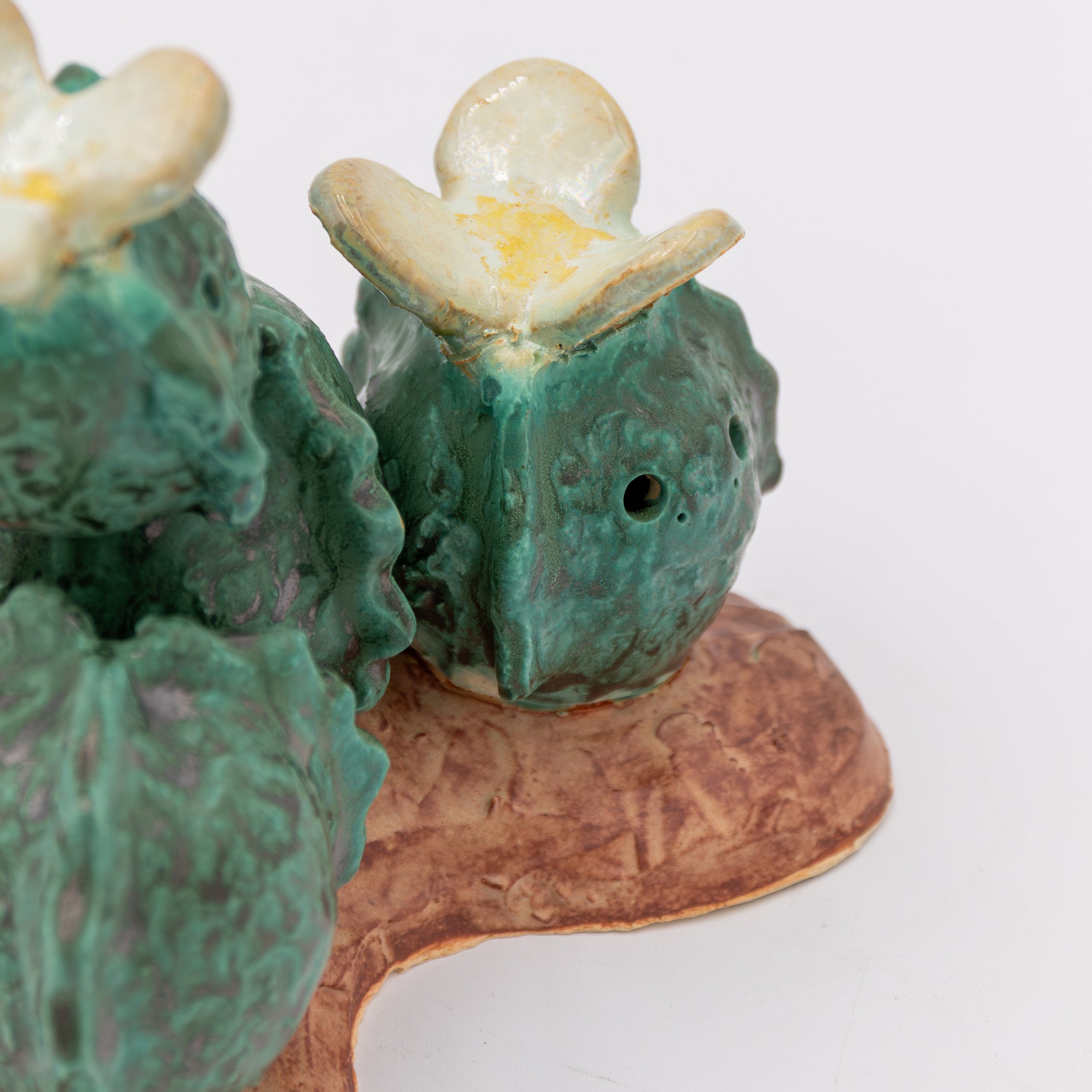 Young Sun Ceramics | 'Baby Bloom'